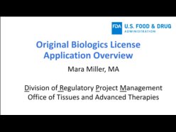 Original Biologics License Application Overview